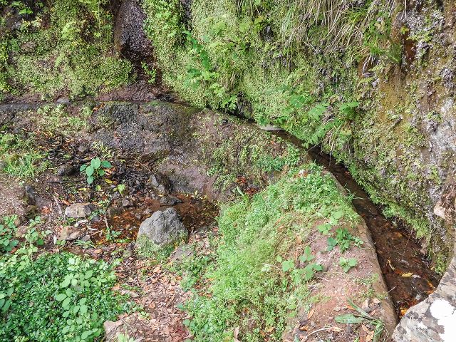 15.08.2017 Rundwanderung in Achadas da Cruz — Zur Madre der Levada dos Pombais inf und zurück zum Pfad zur oberen Levada — Foto 37
