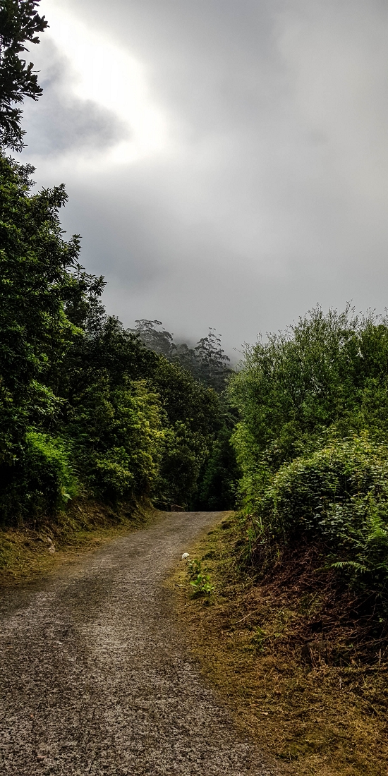 16.05.2019 Nochmals zum Poco das Pulgas, diesmal als Rundtour — Aufstieg zum Palheiro — Foto 1