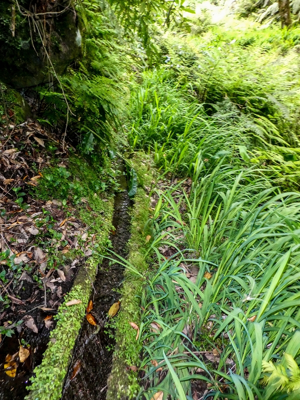 16.05.2019 Nochmals zum Poco das Pulgas, diesmal als Rundtour — Levada da Cancela — Foto 11