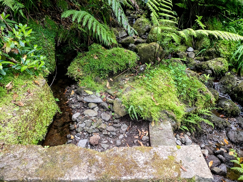 Levada da Cancela — Foto 1