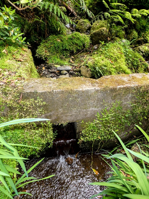Levada da Cancela — Foto 2