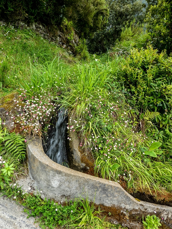 Levada das Feiteirinhas — Foto 1