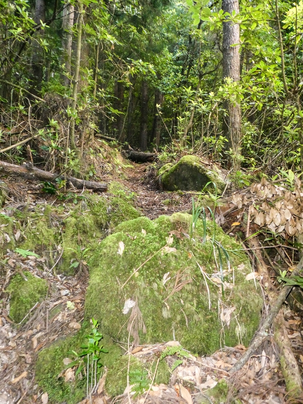 16.05.2019 Nochmals zum Poco das Pulgas, diesmal als Rundtour — Aufstieg zur Glitschwand — Foto 1