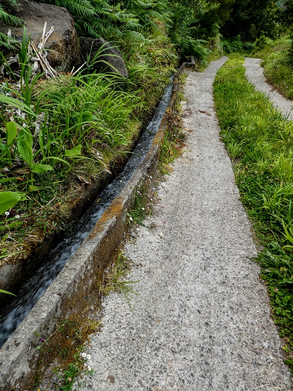 Levada das Feiteirinhas — Foto 2