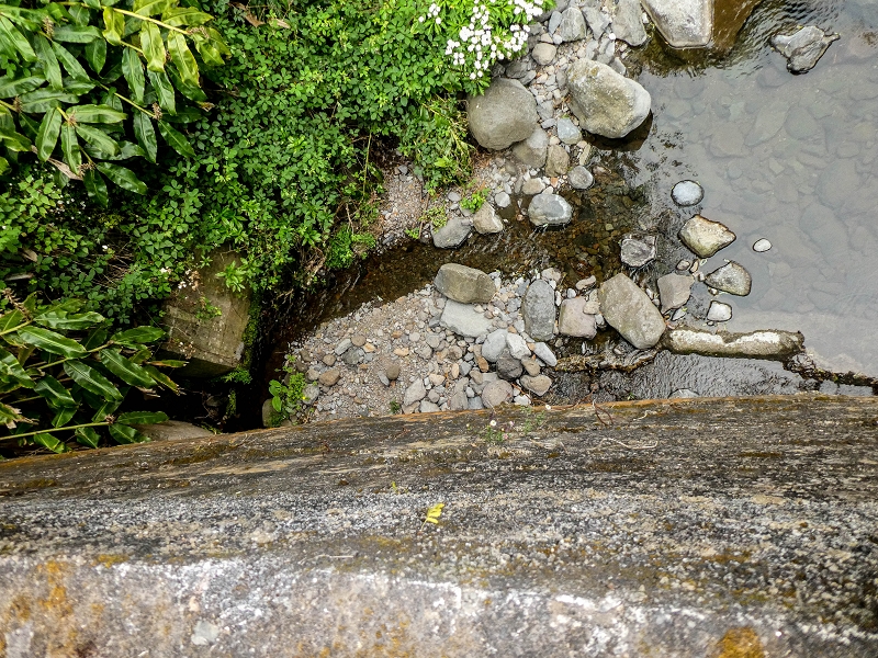 Levada do Lombo — Foto 1