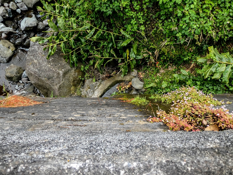 Levada do Lombo — Foto 2