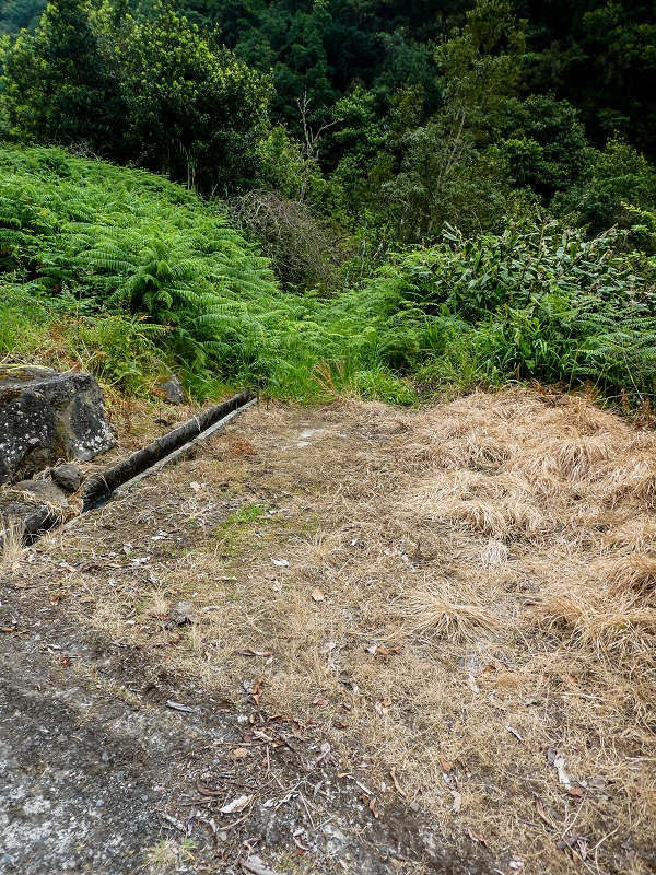 Levada das Fontes — Foto 1