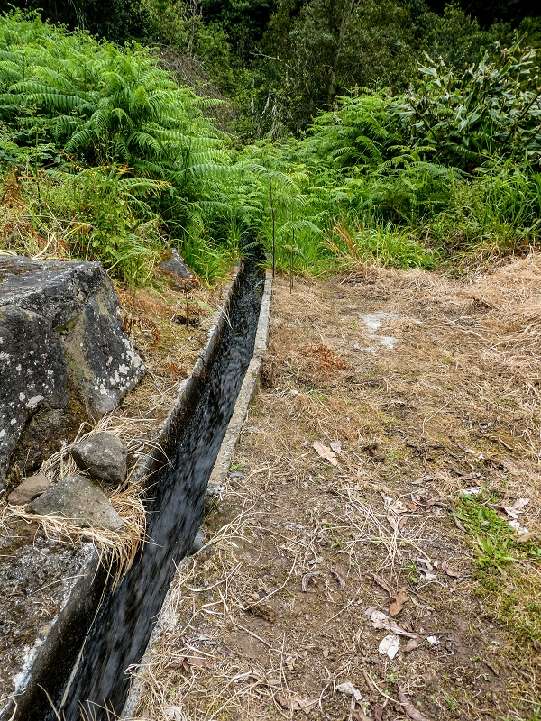 Levada das Fontes — Foto 2