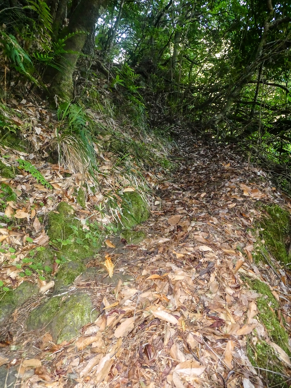 16.05.2019 Nochmals zum Poco das Pulgas, diesmal als Rundtour — Aufstieg zur Glitschwand — Foto 4