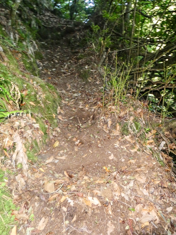 16.05.2019 Nochmals zum Poco das Pulgas, diesmal als Rundtour — Aufstieg zur Glitschwand — Foto 6