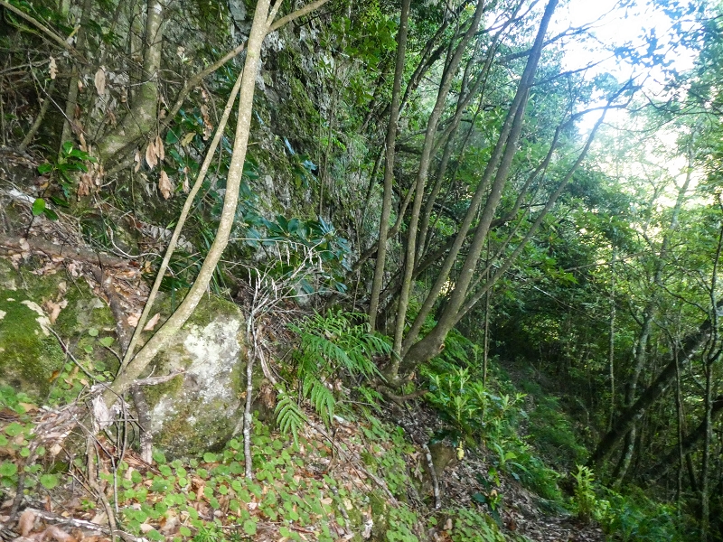 16.05.2019 Nochmals zum Poco das Pulgas, diesmal als Rundtour — Aufstieg zur Glitschwand — Foto 7