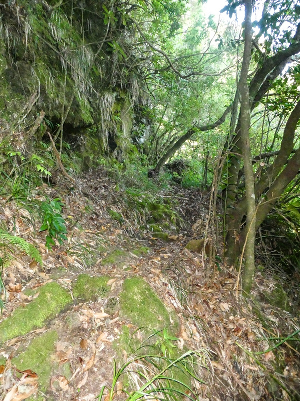16.05.2019 Nochmals zum Poco das Pulgas, diesmal als Rundtour — Aufstieg zur Glitschwand — Foto 8
