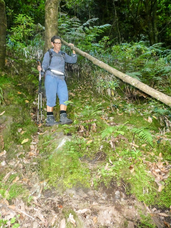 16.05.2019 Nochmals zum Poco das Pulgas, diesmal als Rundtour — Aufstieg zur Glitschwand — Foto 9