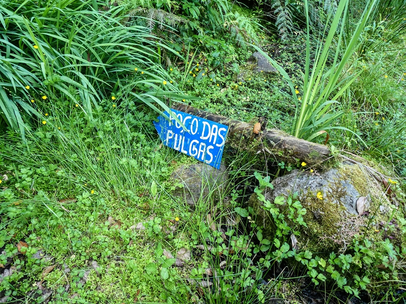 16.05.2019 Nochmals zum Poco das Pulgas, diesmal als Rundtour — Aufstieg zum Palheiro — Foto 2