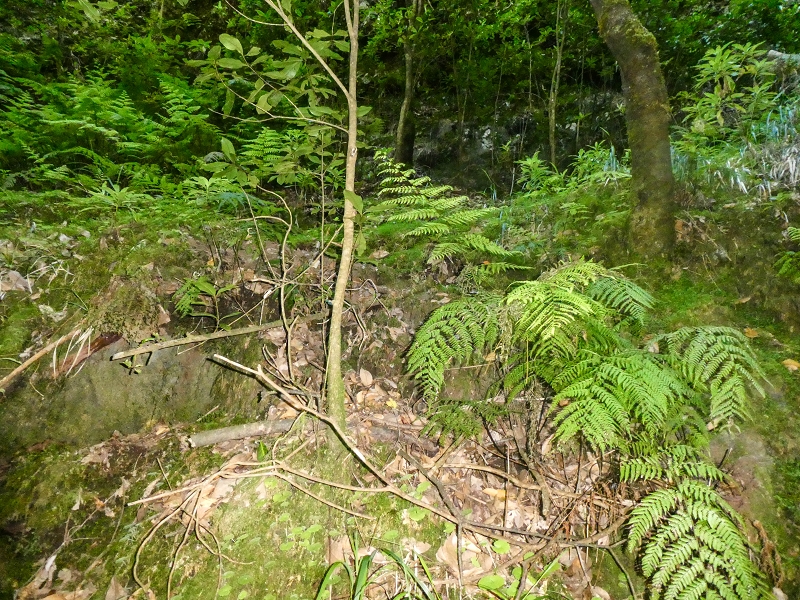 16.05.2019 Nochmals zum Poco das Pulgas, diesmal als Rundtour — Aufstieg zur Glitschwand — Foto 10