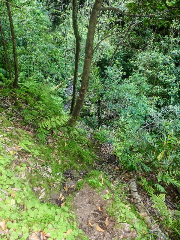 16.05.2019 Nochmals zum Poco das Pulgas, diesmal als Rundtour — Aufstieg zur Glitschwand — Foto 11