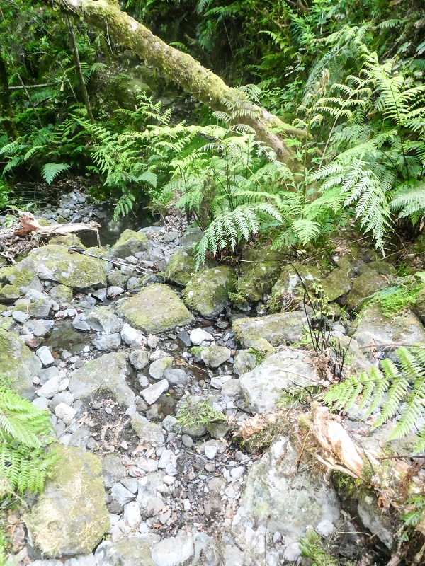 16.05.2019 Nochmals zum Poco das Pulgas, diesmal als Rundtour — Aufstieg zur Glitschwand — Foto 12
