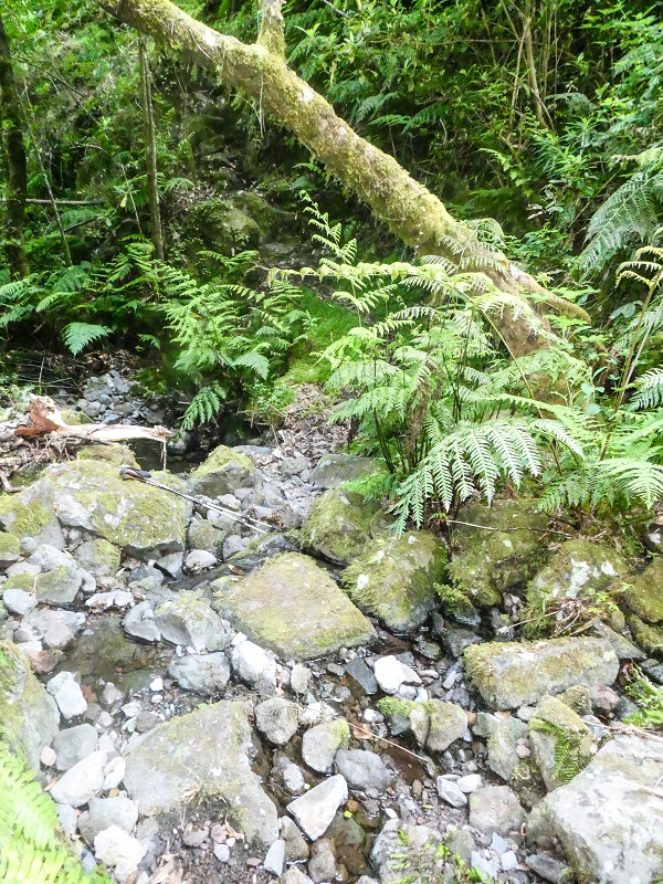 16.05.2019 Nochmals zum Poco das Pulgas, diesmal als Rundtour — Aufstieg zur Glitschwand — Foto 13