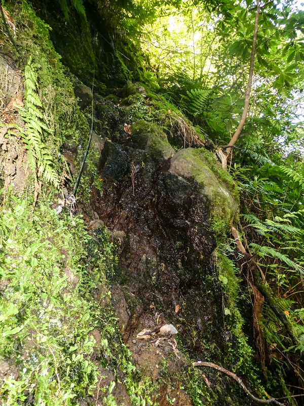 16.05.2019 Nochmals zum Poco das Pulgas, diesmal als Rundtour — Aufstieg zur Glitschwand — Foto 15