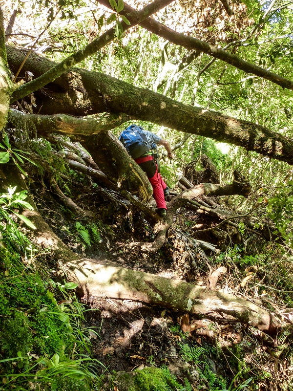 16.05.2019 Nochmals zum Poco das Pulgas, diesmal als Rundtour — Weiter zum Poco — Foto 1