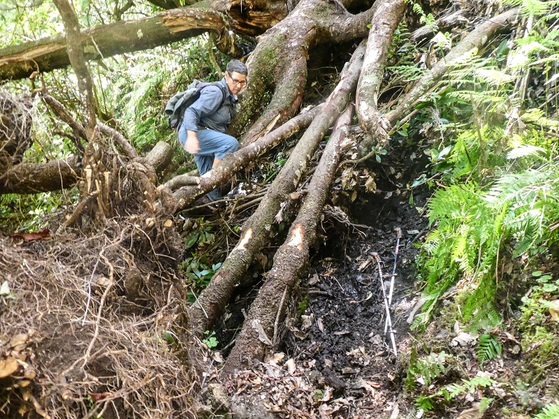 16.05.2019 Nochmals zum Poco das Pulgas, diesmal als Rundtour — Weiter zum Poco — Foto 2