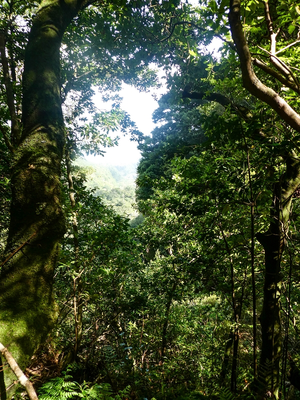 16.05.2019 Nochmals zum Poco das Pulgas, diesmal als Rundtour — Weiter zum Poco — Foto 4