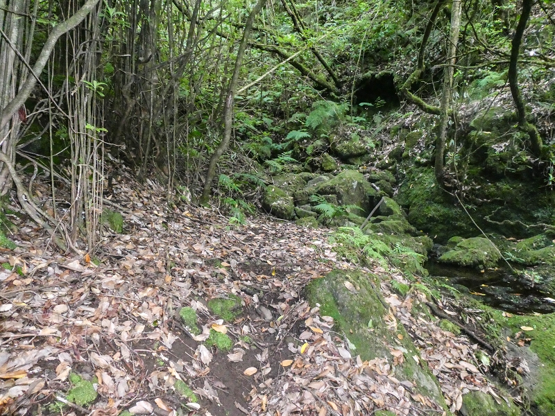 16.05.2019 Nochmals zum Poco das Pulgas, diesmal als Rundtour — Weiter zum Poco — Foto 6