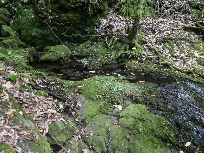 16.05.2019 Nochmals zum Poco das Pulgas, diesmal als Rundtour — Weiter zum Poco — Foto 8