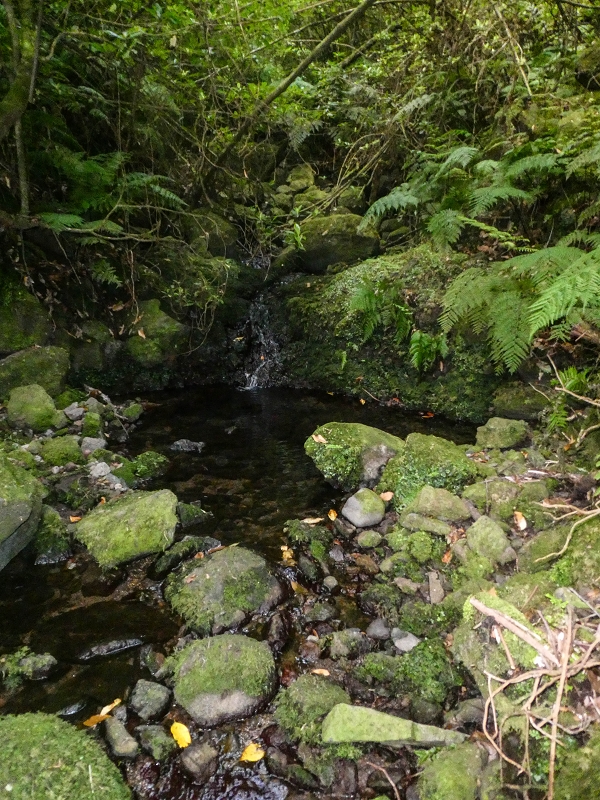 16.05.2019 Nochmals zum Poco das Pulgas, diesmal als Rundtour — Weiter zum Poco — Foto 9