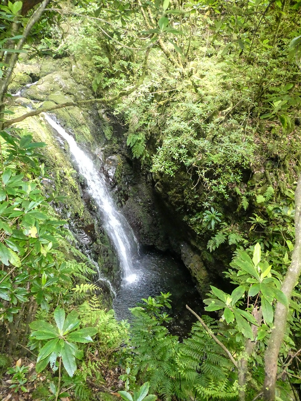 16.05.2019 Nochmals zum Poco das Pulgas, diesmal als Rundtour — Weiter zum Poco — Foto 10