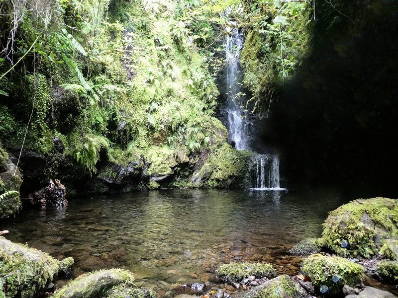 16.05.2019 Nochmals zum Poco das Pulgas, diesmal als Rundtour — Der Poco das Pulgas — Foto 2
