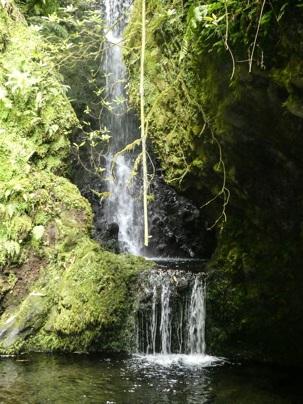 16.05.2019 Nochmals zum Poco das Pulgas, diesmal als Rundtour — Der Poco das Pulgas — Foto 5