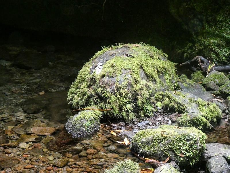 16.05.2019 Nochmals zum Poco das Pulgas, diesmal als Rundtour — Der Poco das Pulgas — Foto 6