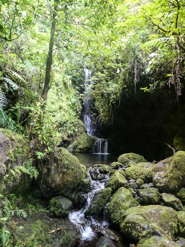 16.05.2019 Nochmals zum Poco das Pulgas, diesmal als Rundtour — Der Poco das Pulgas — Foto 7