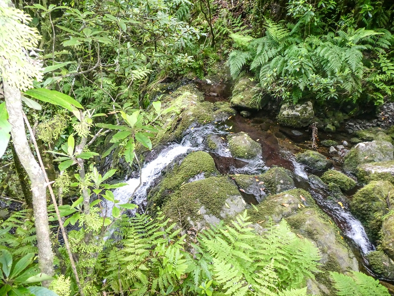 16.05.2019 Nochmals zum Poco das Pulgas, diesmal als Rundtour — Weiter auf die Traverse — Foto 1