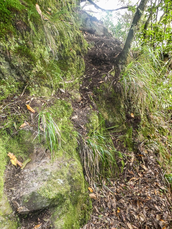 16.05.2019 Nochmals zum Poco das Pulgas, diesmal als Rundtour — Weiter auf die Traverse — Foto 5