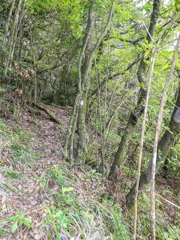 16.05.2019 Nochmals zum Poco das Pulgas, diesmal als Rundtour — Weiter auf die Traverse — Foto 6