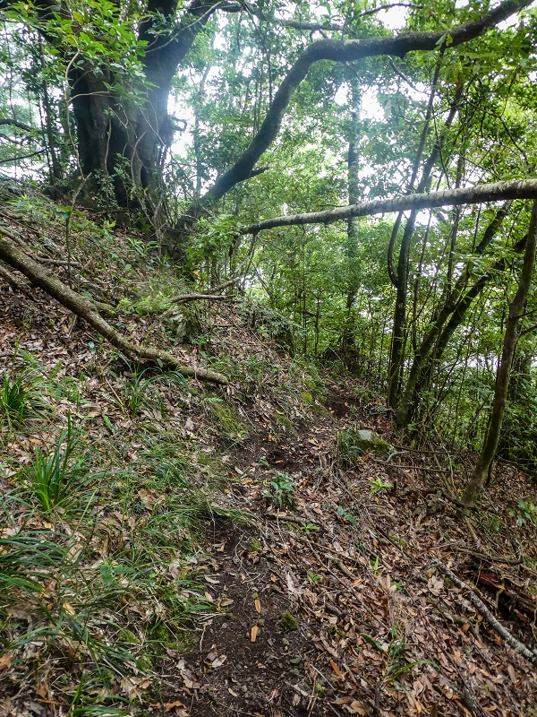 16.05.2019 Nochmals zum Poco das Pulgas, diesmal als Rundtour — Weiter auf die Traverse — Foto 8