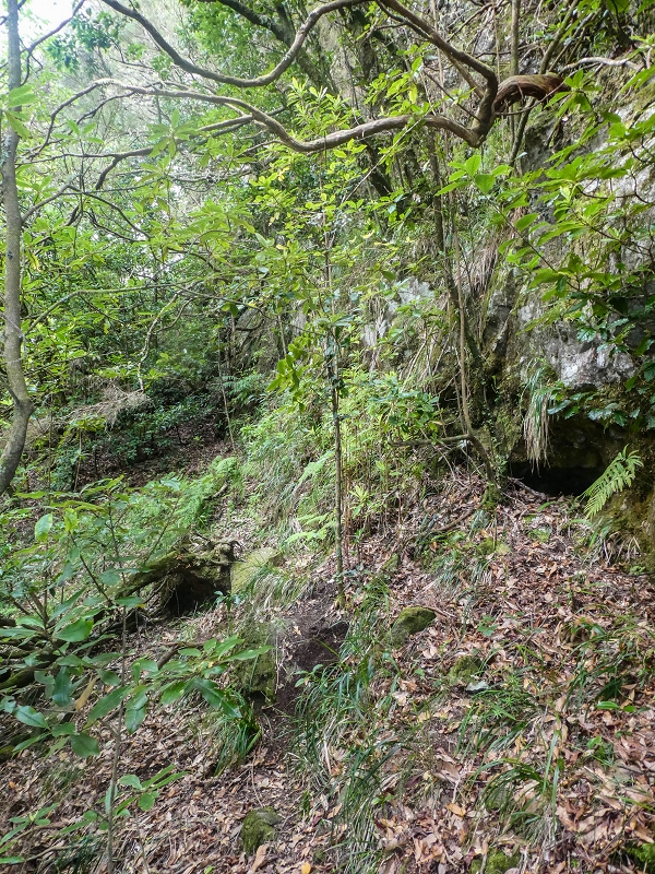 16.05.2019 Nochmals zum Poco das Pulgas, diesmal als Rundtour — Weiter auf die Traverse — Foto 9