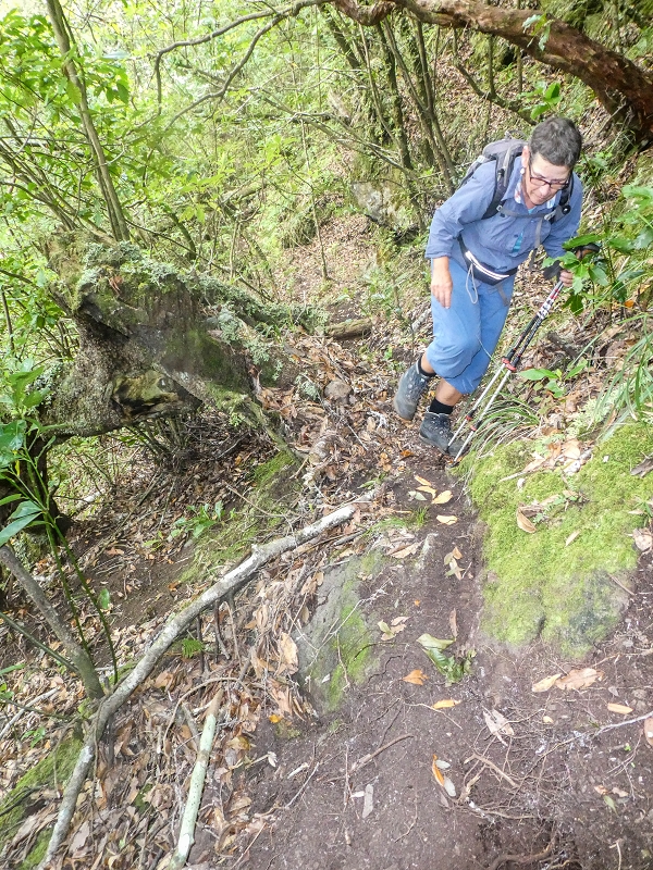 16.05.2019 Nochmals zum Poco das Pulgas, diesmal als Rundtour — Weiter auf die Traverse — Foto 11