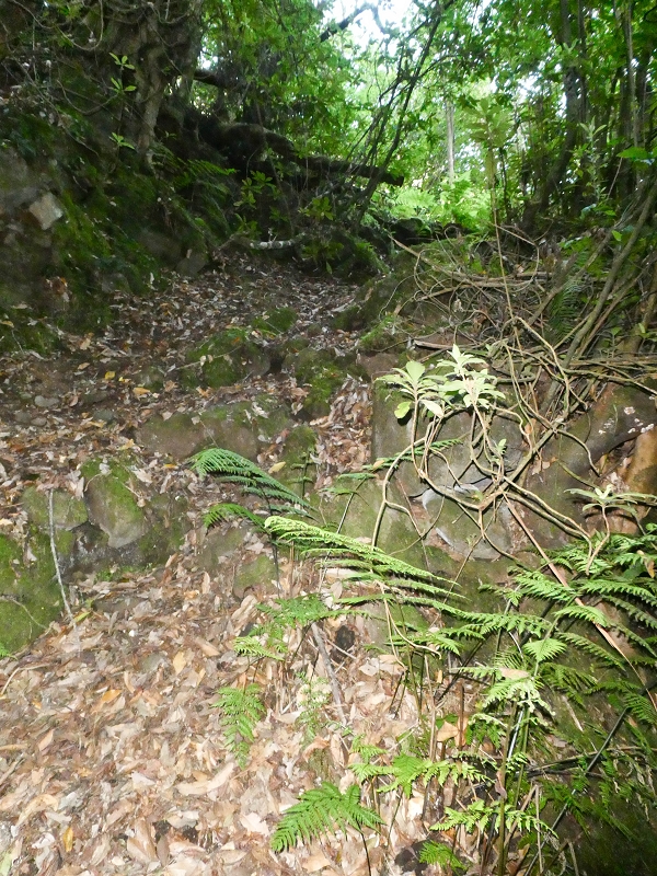 16.05.2019 Nochmals zum Poco das Pulgas, diesmal als Rundtour — Aufstieg zum Palheiro — Foto 6