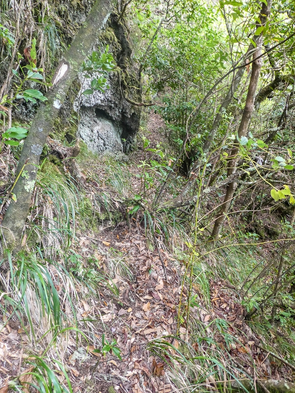 16.05.2019 Nochmals zum Poco das Pulgas, diesmal als Rundtour — Weiter auf die Traverse — Foto 13