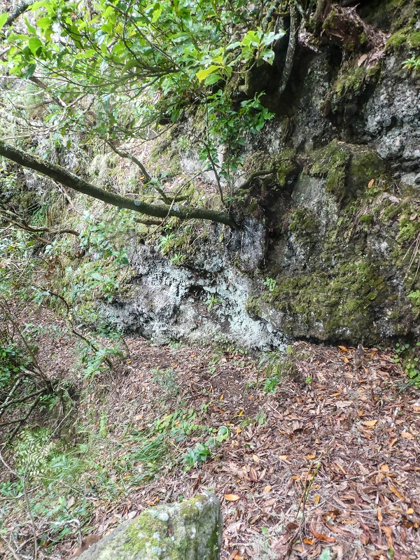 16.05.2019 Nochmals zum Poco das Pulgas, diesmal als Rundtour — Weiter auf die Traverse — Foto 14