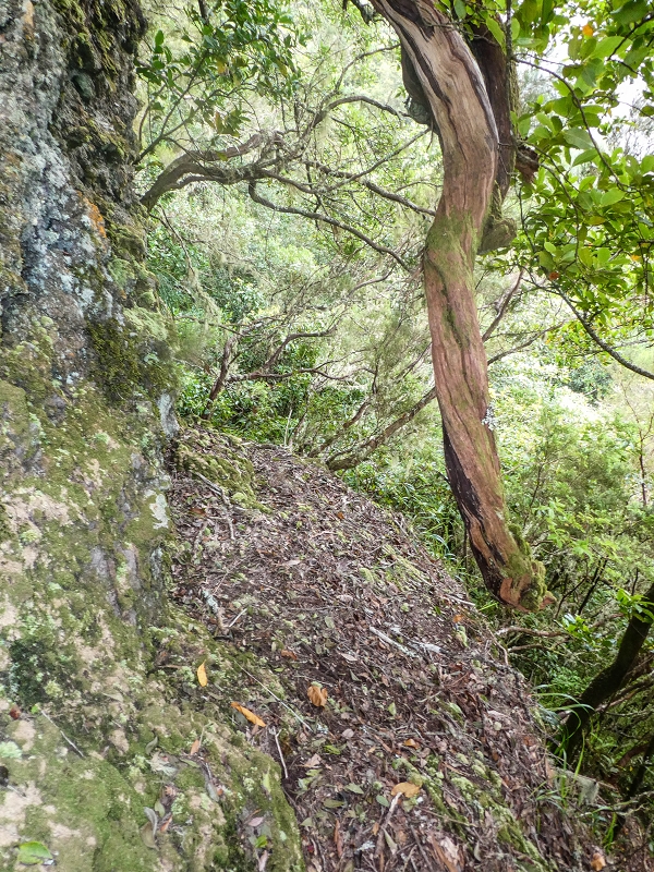 16.05.2019 Nochmals zum Poco das Pulgas, diesmal als Rundtour — Weiter auf die Traverse — Foto 16