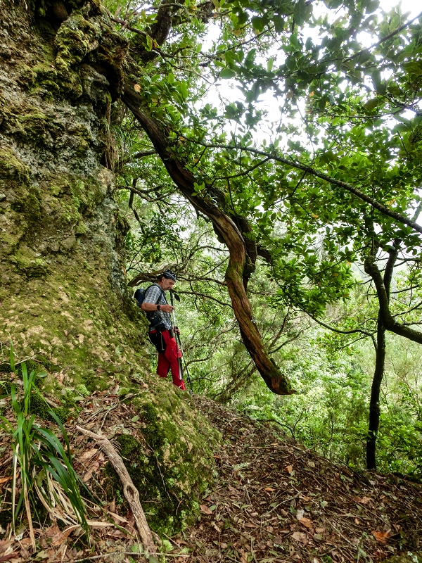 16.05.2019 Nochmals zum Poco das Pulgas, diesmal als Rundtour — Weiter auf die Traverse — Foto 17