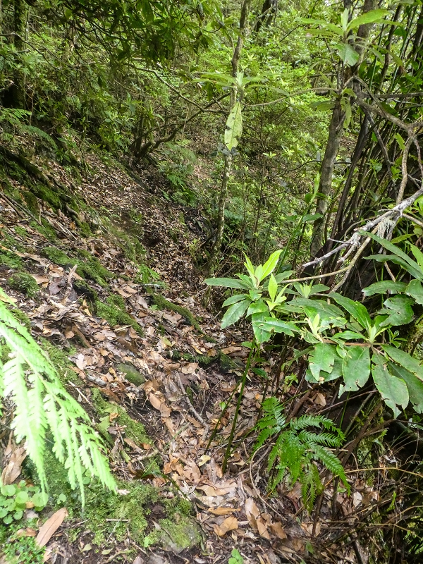 16.05.2019 Nochmals zum Poco das Pulgas, diesmal als Rundtour — Weiter auf die Traverse — Foto 20
