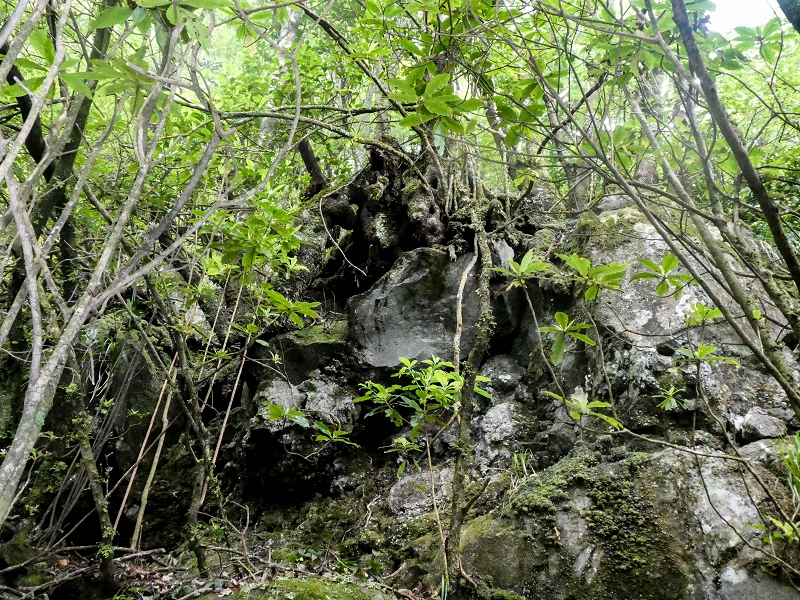 16.05.2019 Nochmals zum Poco das Pulgas, diesmal als Rundtour — Weiter auf die Traverse — Foto 23