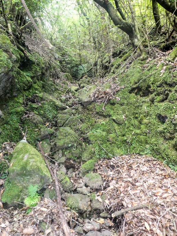 16.05.2019 Nochmals zum Poco das Pulgas, diesmal als Rundtour — Weiter auf die Traverse — Foto 27