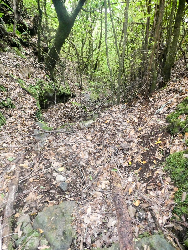 16.05.2019 Nochmals zum Poco das Pulgas, diesmal als Rundtour — Weiter auf die Traverse — Foto 28