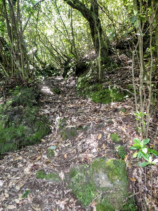 16.05.2019 Nochmals zum Poco das Pulgas, diesmal als Rundtour — Weiter auf die Traverse — Foto 29
